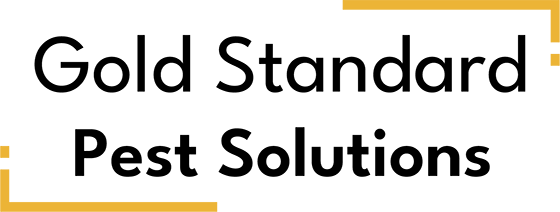 1b – Gold Standard Pest Solutions Logo 560